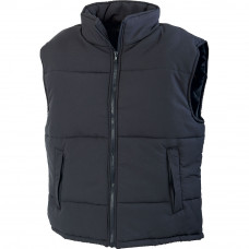 Vesta Ramsay RENANIA, art.1B81