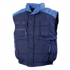 Vesta vatuita Major,  Renania, art.2B10